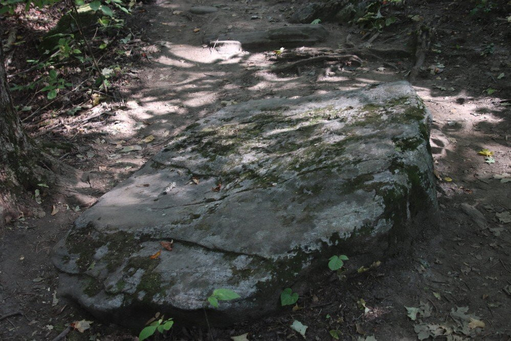 Nottawasaga Lookout Provincial Nature Reserve景点图片