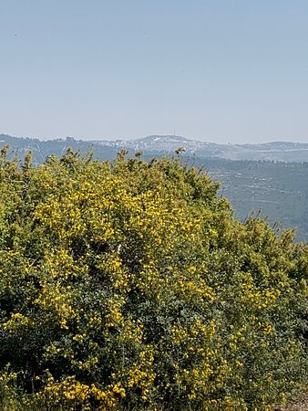 Har Tayyasim景点图片