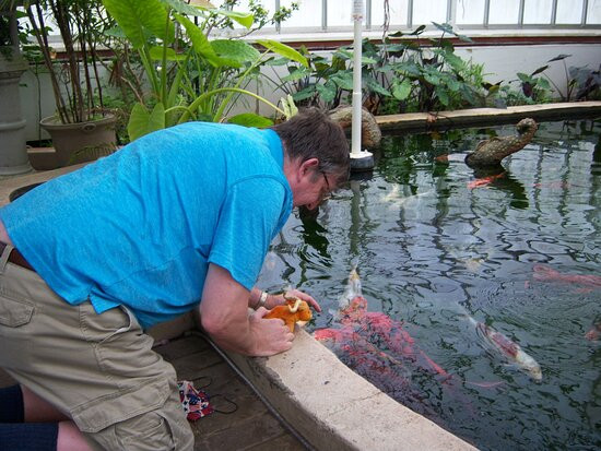 Buffalo and Erie County Botanical Gardens景点图片