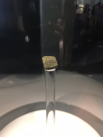 Patricia & Phillip Frost Art Museum-迈阿密必去景点