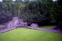 Royal Abbey of Cong景点图片