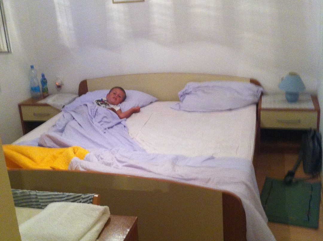 Pension Vice