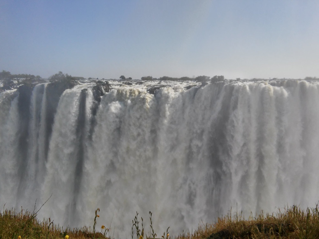 Safari4Africa景点图片