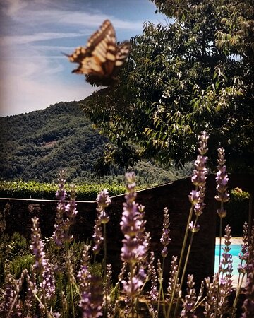 Agriturismo Colognole-官方
