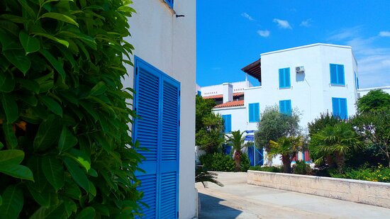 Aleksander Hotel主图