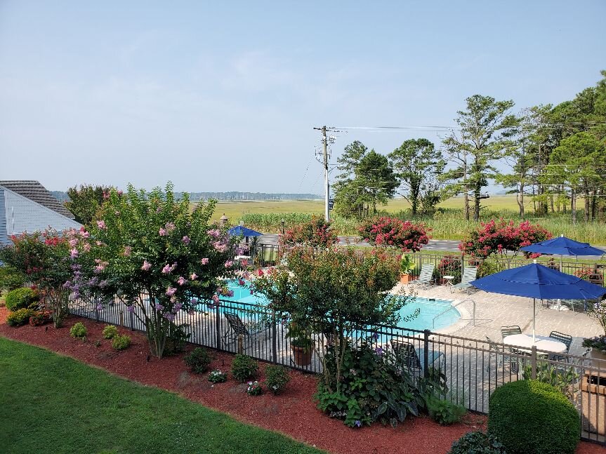Spark by Hilton Chincoteague Island-泳池