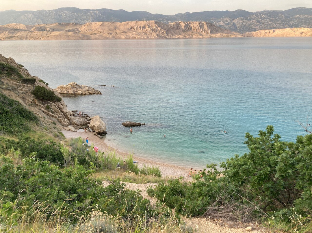 Beach Delfinka景点图片