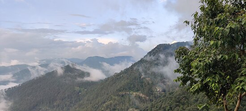Zostel Plus Nainital (Naina Range)主图