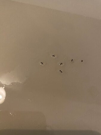 Hotel Malaga Nostrum主图