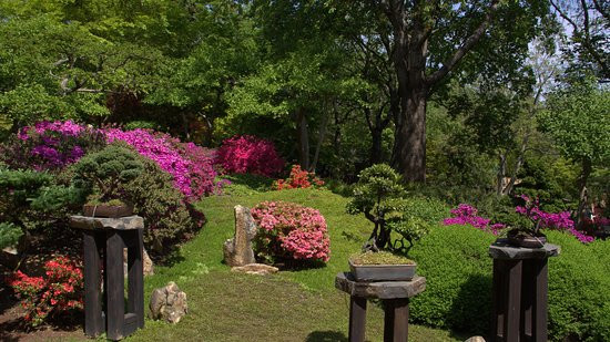 Prague Botanical Garden景点图片