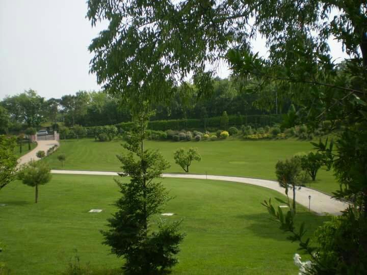 Ca' Degli Ulivi-官方