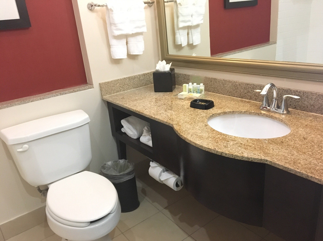 Holiday Inn Dfw Airport South By IHG
