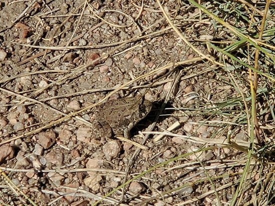 Gateway Mesa Open Space Park-罗克堡必去景点