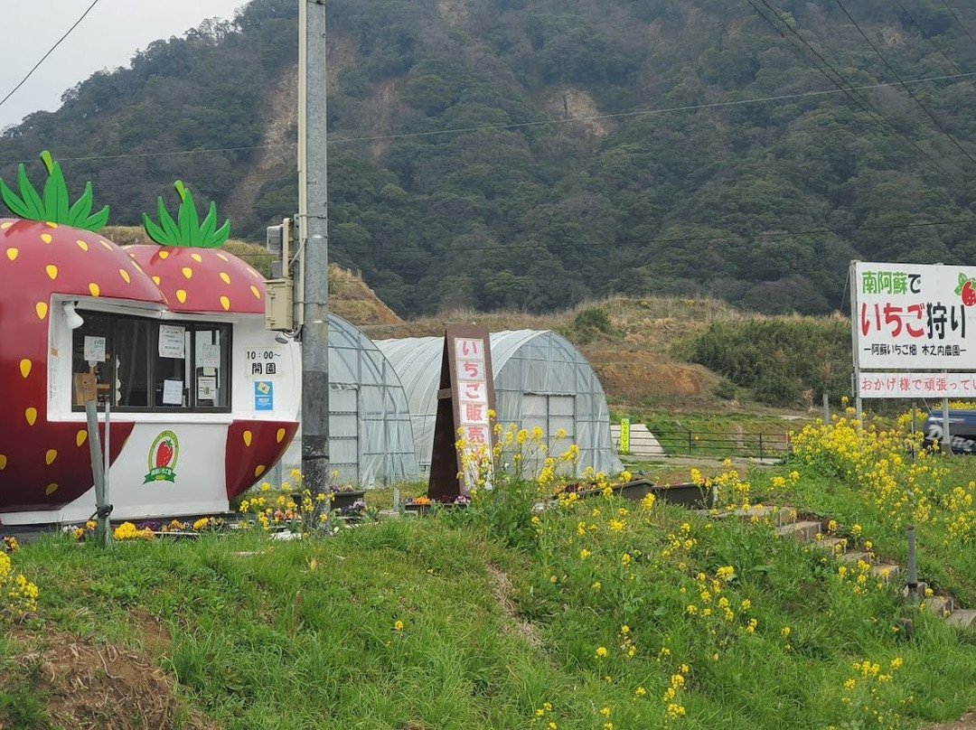Kinouchi Farm景点图片