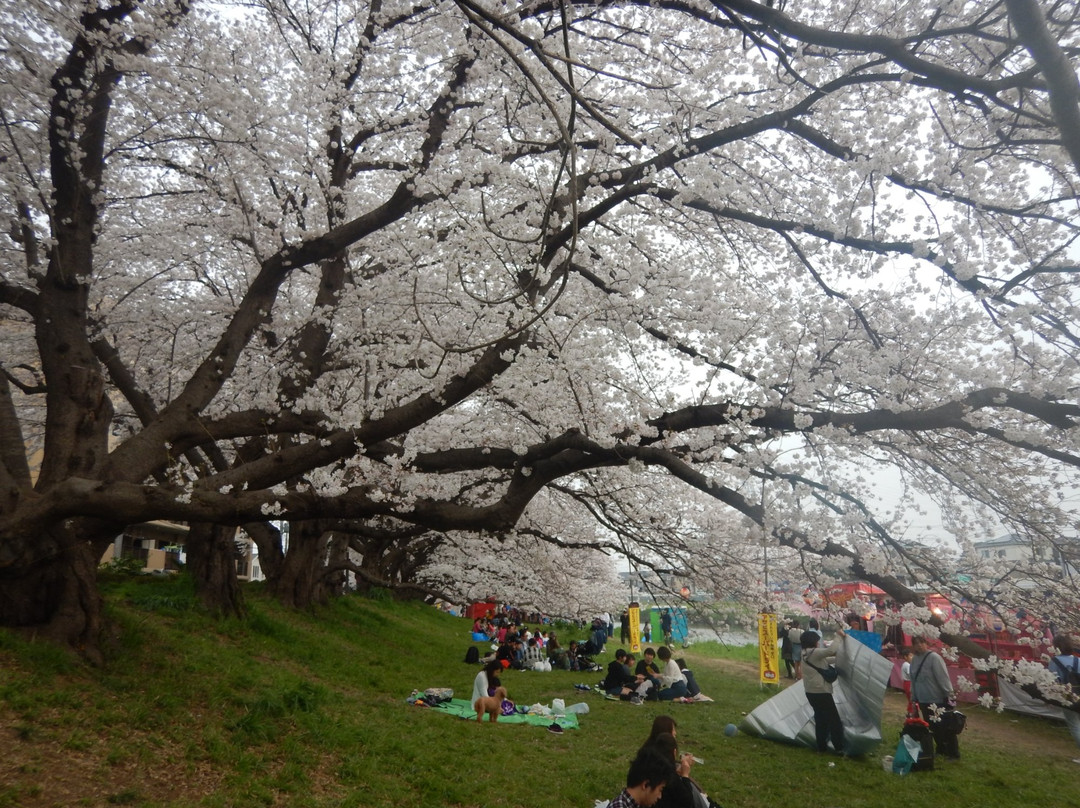 Motoarakawa Riverbank景点图片