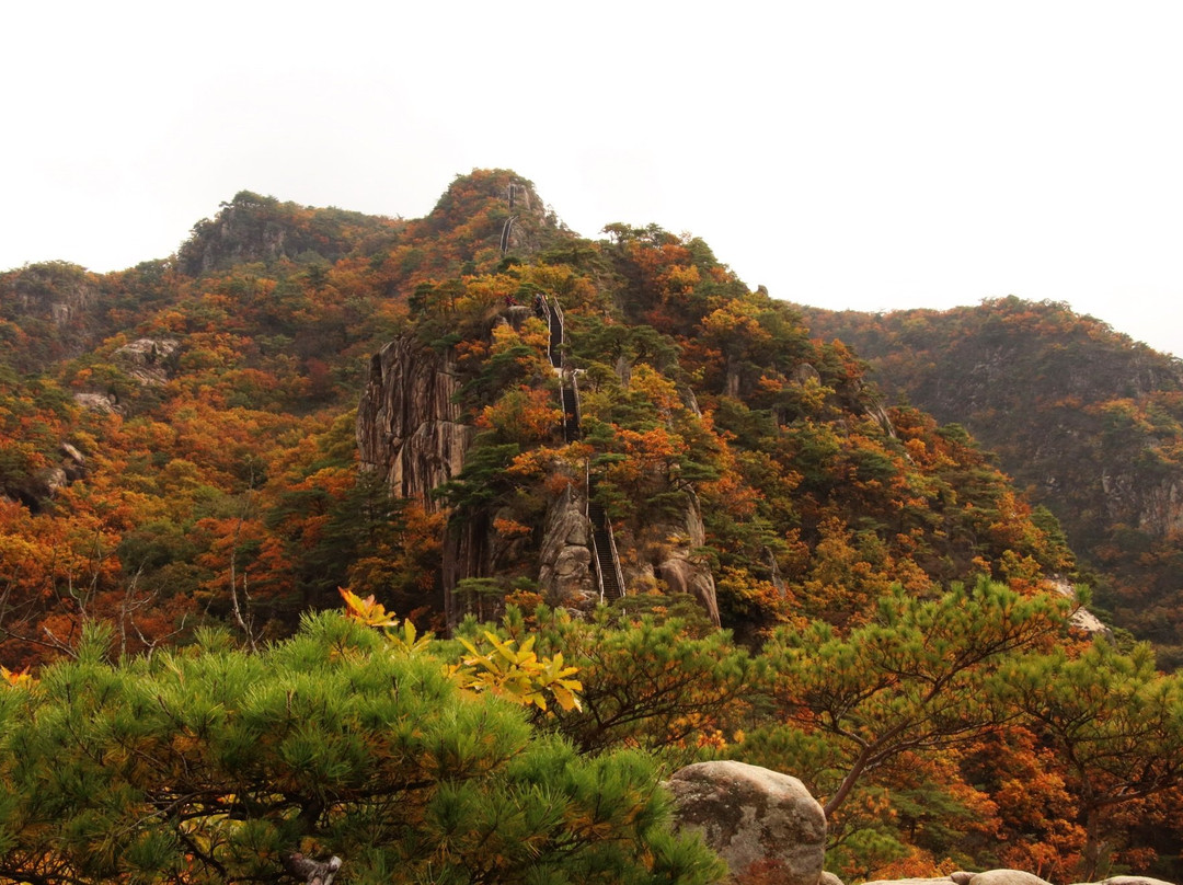 Jebibong Peak景点图片