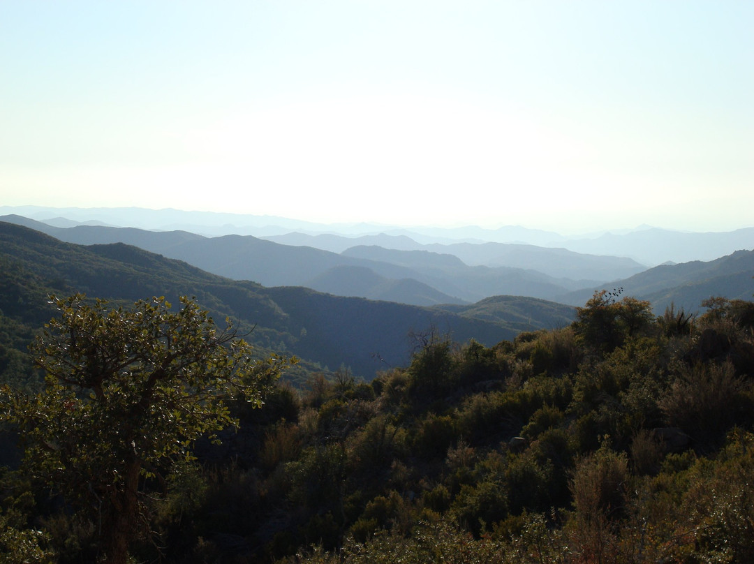 Crown King旅游攻略图片