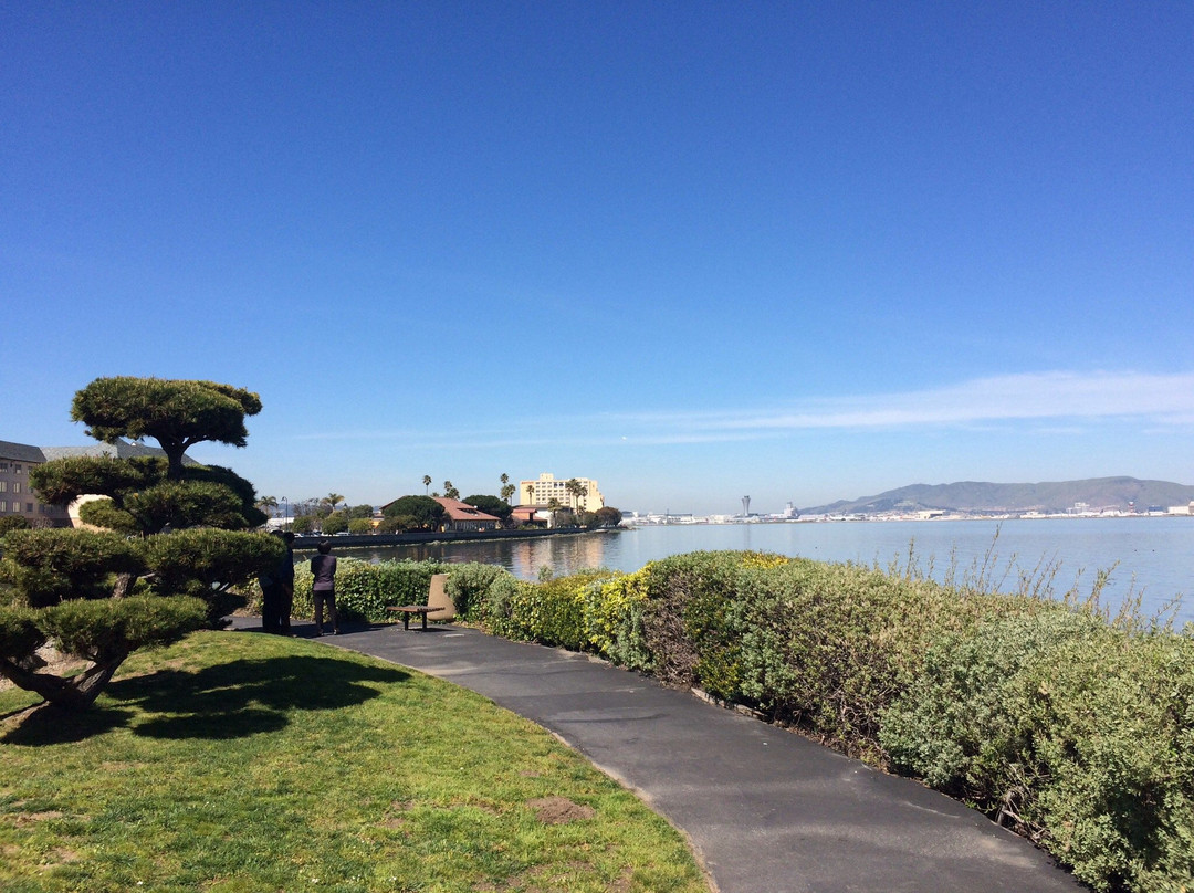 Shorebird Sanctuary-伯灵格姆必去景点