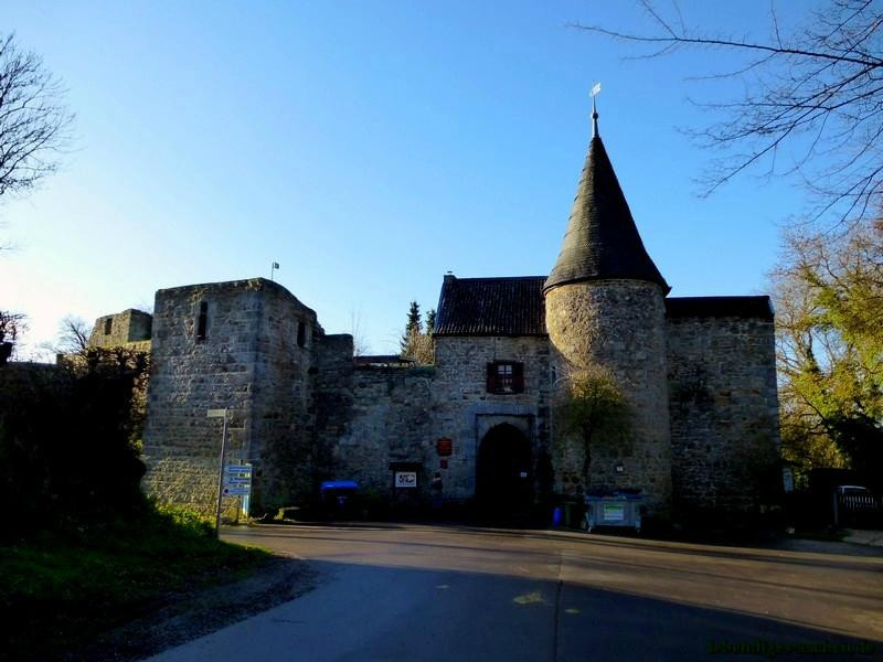 Burg Wilhelmstein景点图片