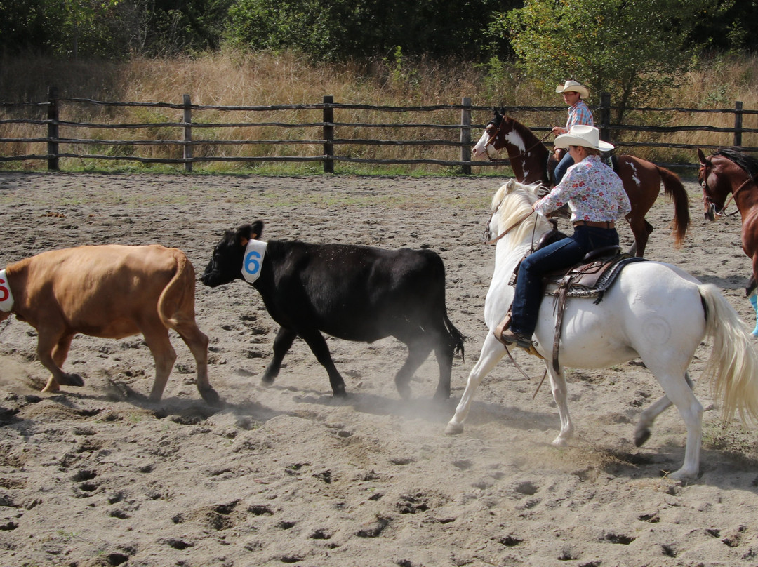 Aucamville旅游攻略图片