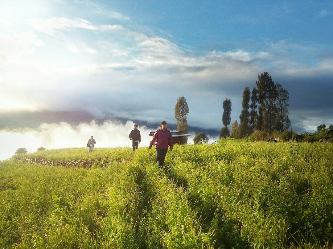 Temanggung旅游攻略图片