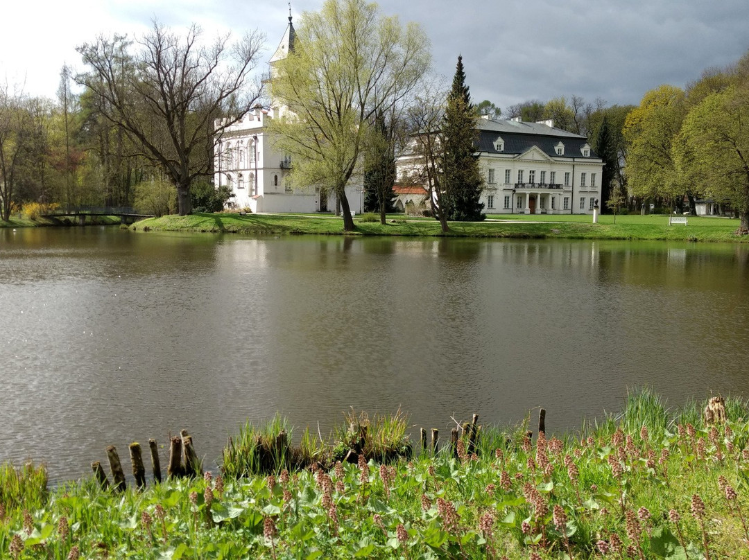 Palace in Radziejowice景点图片