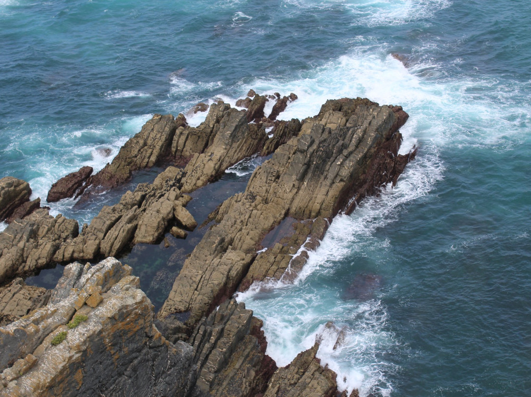 Cape Sardão景点图片