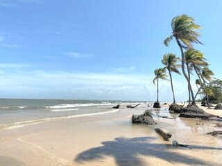 Caju-Una Beach景点图片