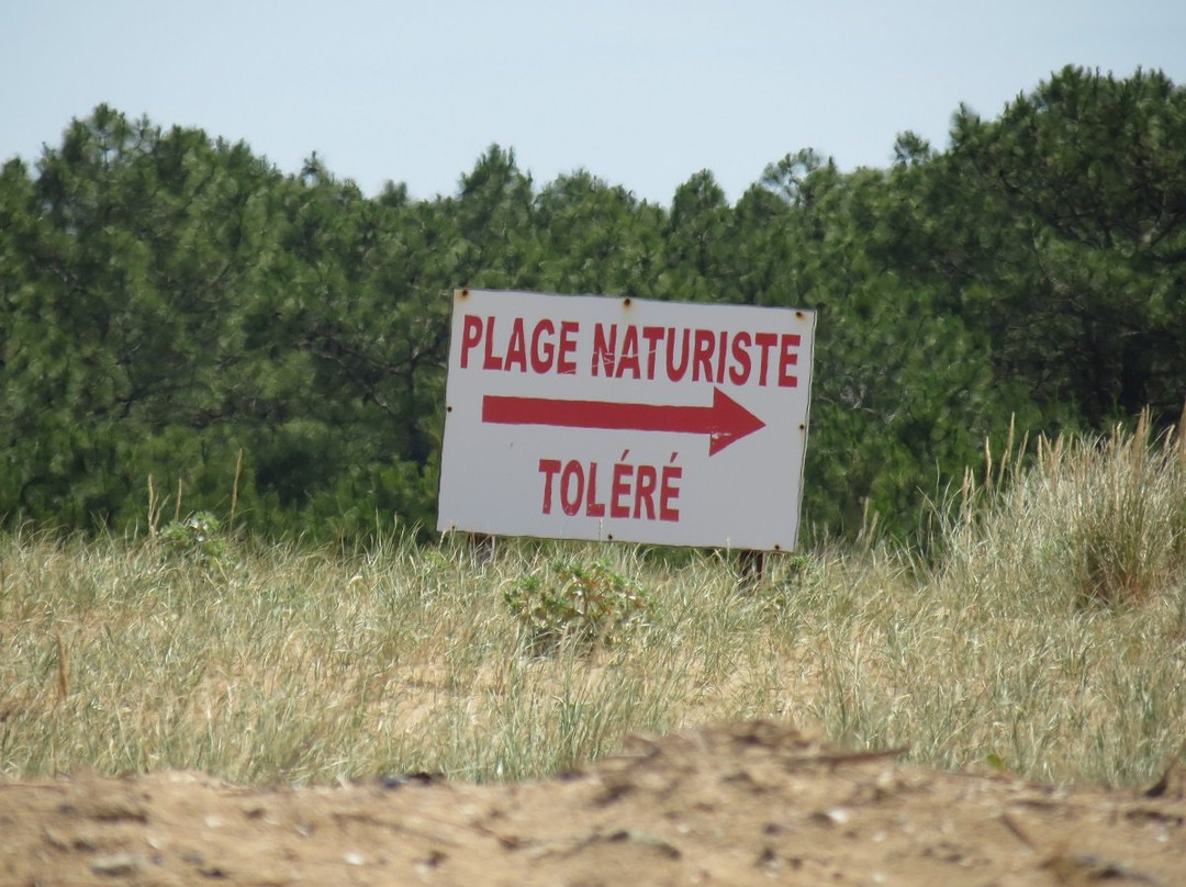 Plage Naturiste de la Pointe d'Arçay景点图片