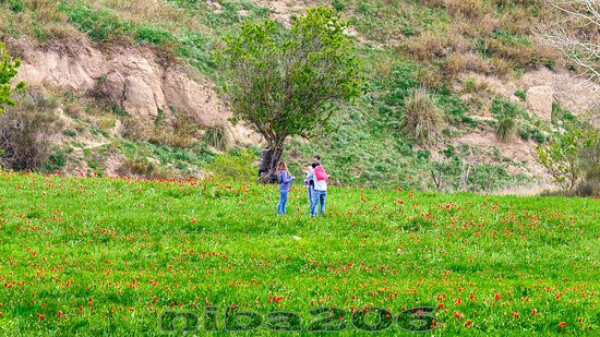 Santuario Madonna dell'Olio-Blufi必去景点
