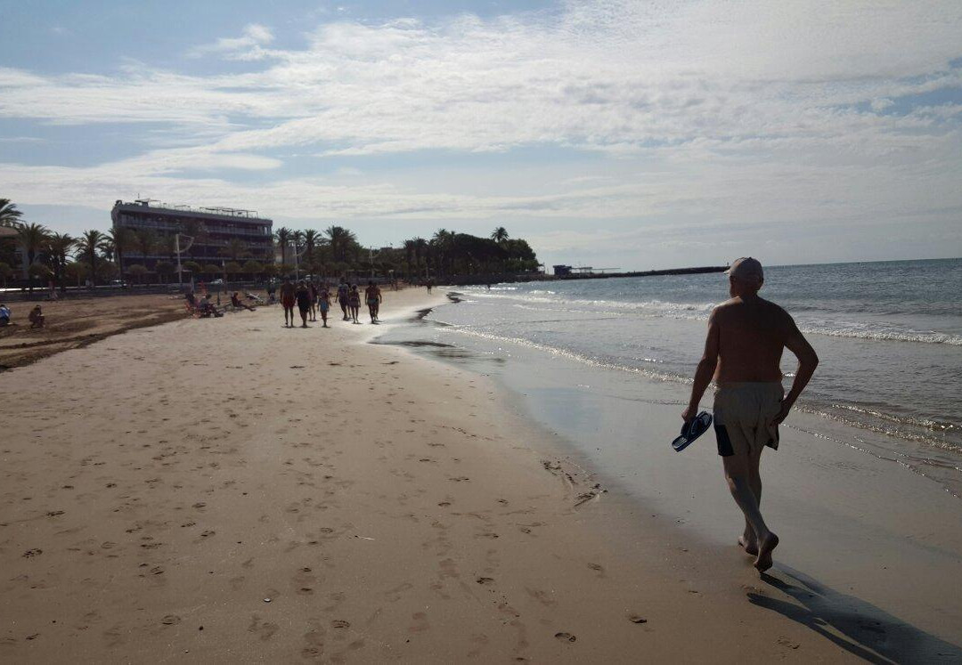 Platja del Regueral i Prat d'En Fores-坎布里尔斯必去景点