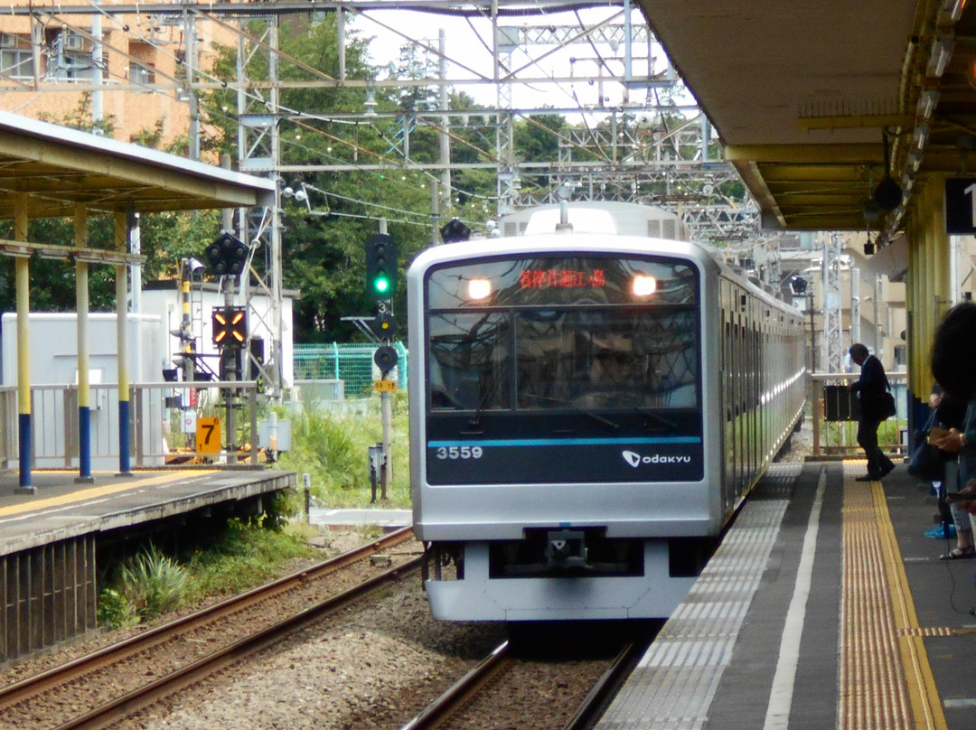 Odakyu Electric Railway景点图片