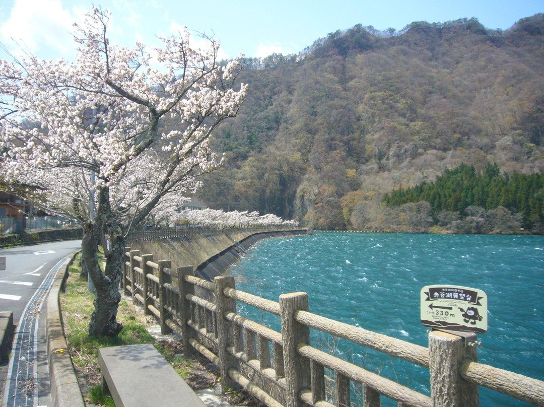 Akayako Promenade景点图片