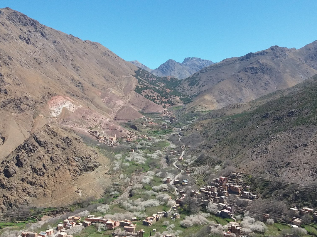 Tacheddirt酒店住宿-Riad Atlas Chateau