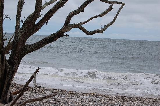 Botany Bay Ecotours景点图片