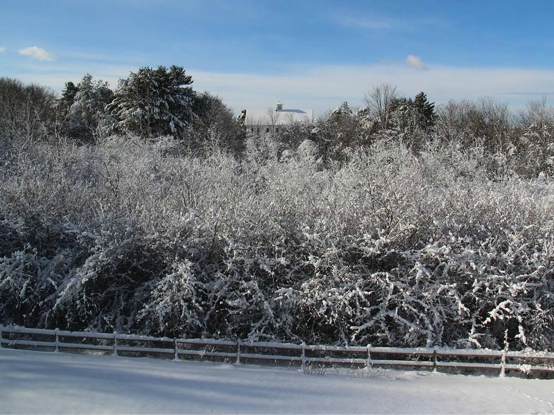 Seekonk旅游攻略图片