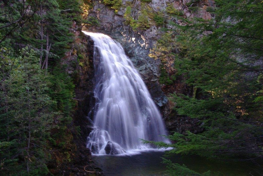 Moore Creek Falls景点图片