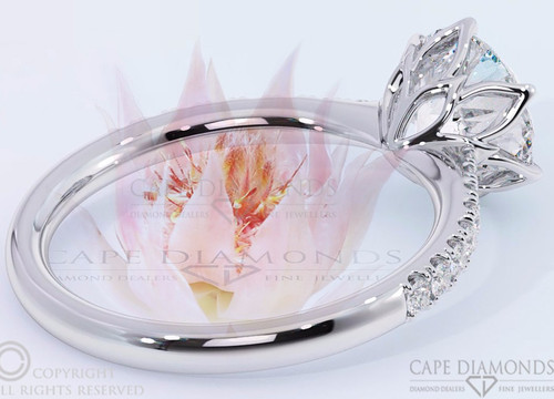 Cape Diamonds-开普敦中心区必去景点