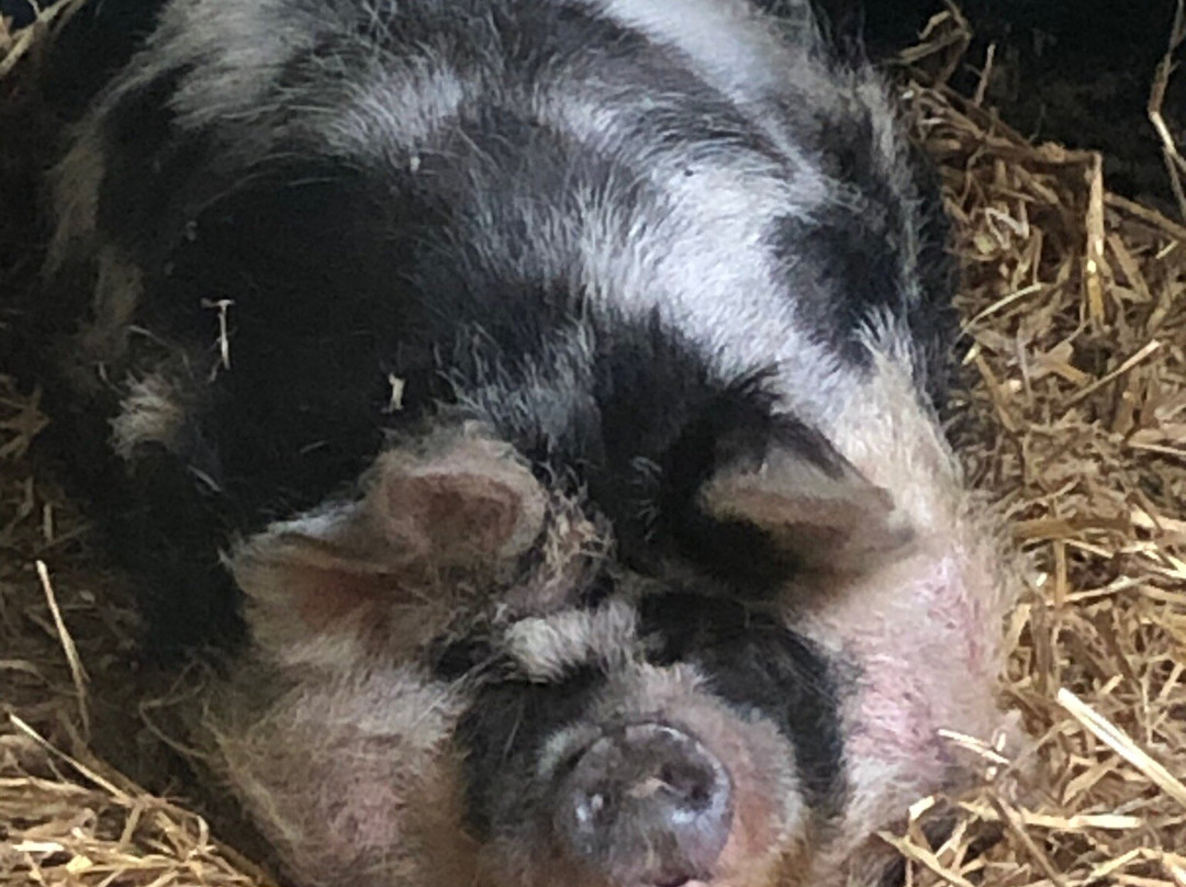 Tierpark Arche Warder