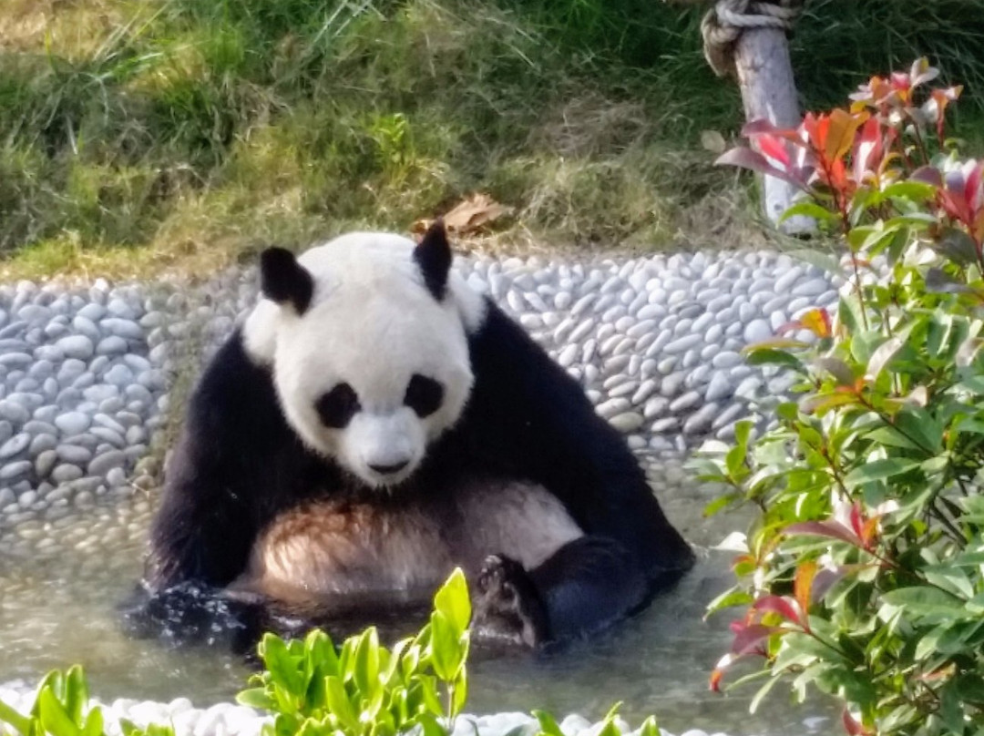 青岛动物园-青岛市必去景点
