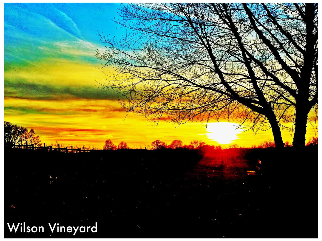 WayVine Winery & Vineyard景点图片