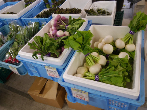 Hakko Gakuen Farmer's Market-札幌市必去景点