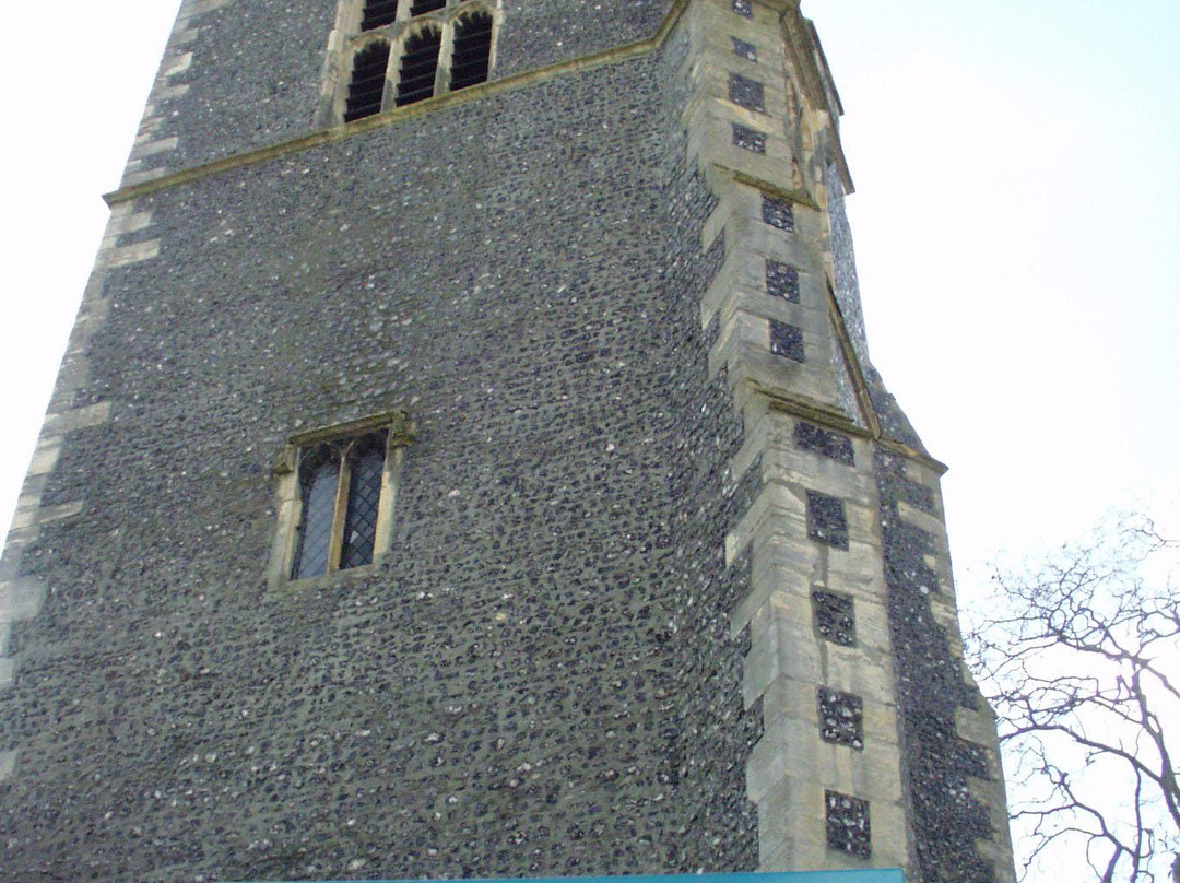 Colchester's Natural History Museum景点图片