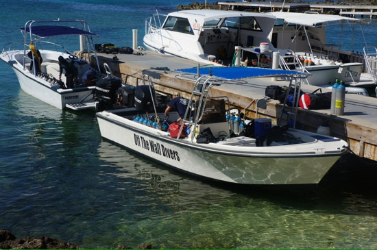 Off the Wall Divers-大开曼岛必去景点