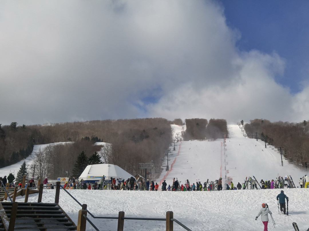 Bristol Mountain Ski Resort景点图片