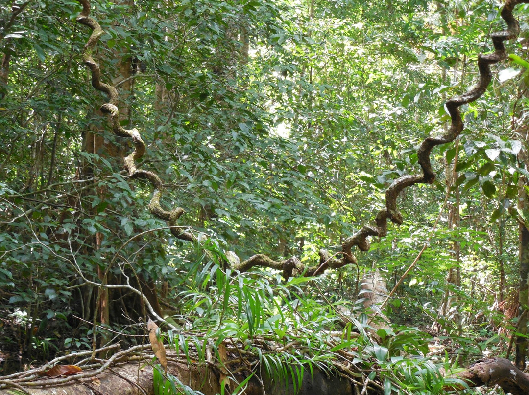 Manupeu Tanah Daru National Parks景点图片