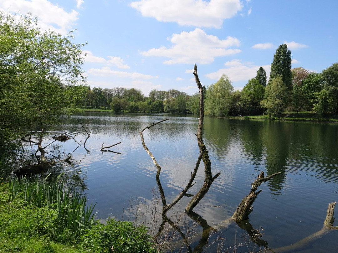 Parc du Château景点图片