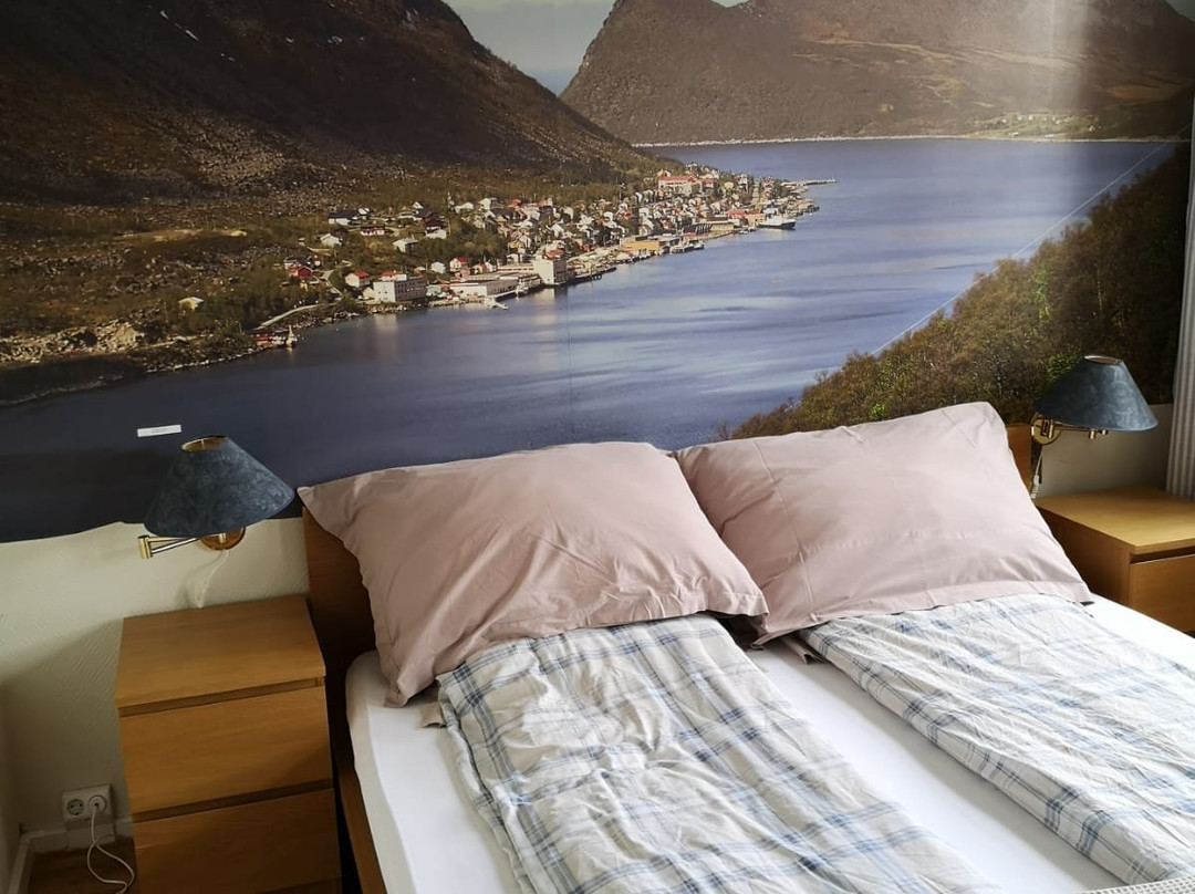 Senja Hotell主图