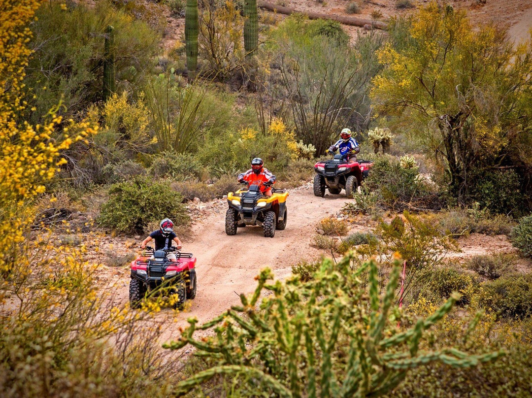 Arizona Outdoor Fun Adventures & Tours景点图片