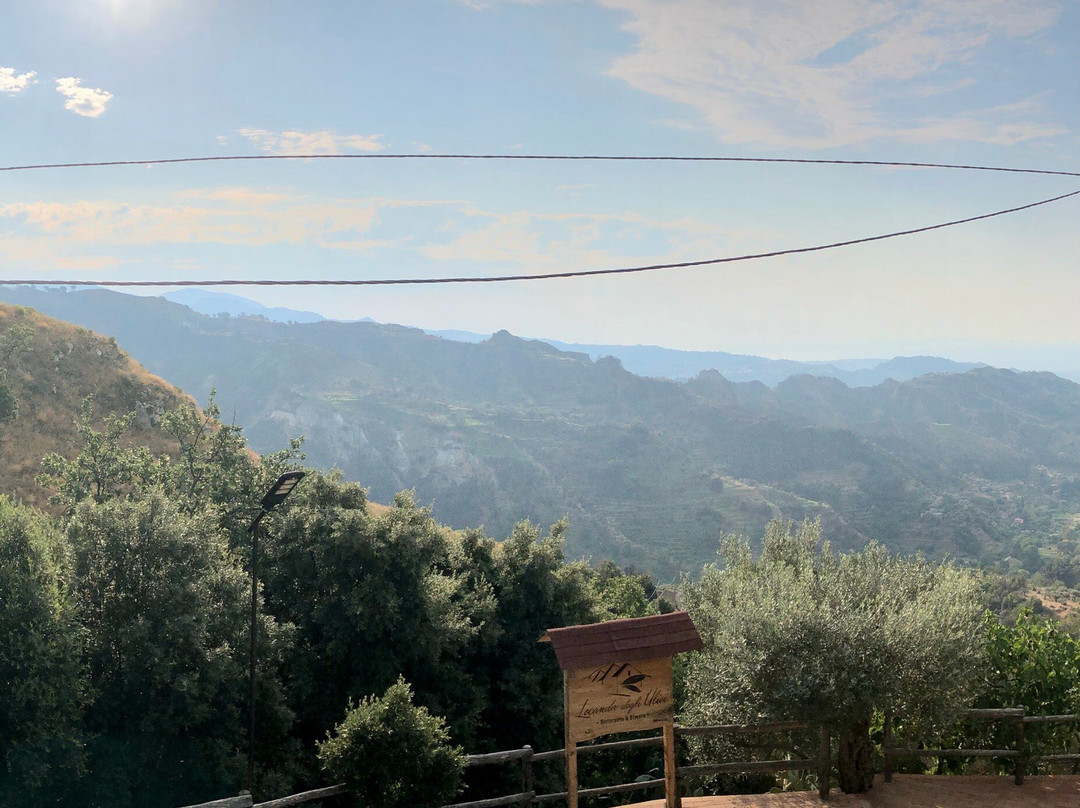 La Locanda Degli Ulivi